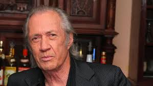 Những diễn viên võ thuật chưa bao giờ có đai đen