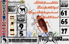 Togel Panas Erek Erek Erek Erek Prediksi Jitu 4d Singapore Live 4d Hari Ini Keluar Aki Wilson Bagaimana Membedah Syair Bedah Syair Oktober Galeri Selasa