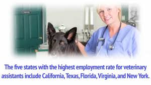 Salary ranges can vary widely depending on many important factors, including education, certifications, additional skills, the number of years you have spent in your profession. How To Become A Vet Assistant Animal Behavior College