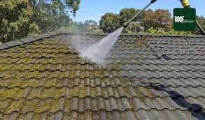 Best Time Of Year To Remove Moss From Roof & Why It Matters