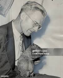 170 Southdale Stock Photos, High-Res Pictures, and Images