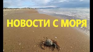 Maybe you would like to learn more about one of these? Anapa Segodnya Novosti S Morya Tolpy Rybakov Youtube