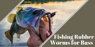 But you can do it with something as simple as a worm hook. Best Rubber Worms For Bass And How To Fish Them A Man His Rod