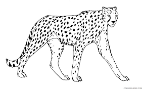 Find more printable cheetah coloring page pictures from our search. Cheetah Coloring Pages Printable Coloring4free Coloring4free Com