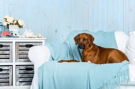 We offer free estimates so give us a call! The 12 Key International Moving Costs Feb 2021