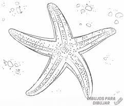 Estrella De Mar Colorear