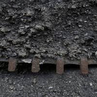 coal india ltd live stock price analysis and scores