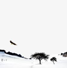 الشاسعة ثلجي snowy vast animals
