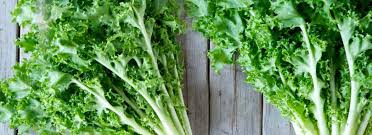 Il nome completo è cicoria di catalogna frastagliata di gaeta, nella versione romana consumata cruda. Come Cucinare La Cicoria Misya Info