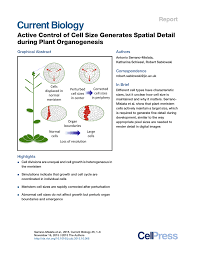 Check spelling or type a new query. Comparison Between Observed And Simulated Cell Size Distributions A Download Scientific Diagram