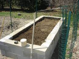 How To Build A Concrete Block Raised Bed Garden Cinder Block Garden Vegetable Garden Raised Beds Raised Garden