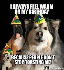 Party Dogs Joke I Always Feel Warm On My Birthday Because People Don T Stop Toasting Me Birthday Jokes Happy Birthday Funny Birthday Humor