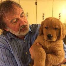 Raising golden retriever puppies with excellent health, temperament and structure. Stay Gold Kennels Home Facebook