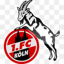 Get the vfl wolfsburg logo as a transparent png and svg(vector). Vfl Wolfsburg Png And Vfl Wolfsburg Transparent Clipart Free Download Cleanpng Kisspng