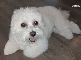 Daisy wants to know how she is