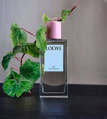 Home Scents Loewe Perfumes In 2020 Home Scents Licorice Plant Natural Wax Candles