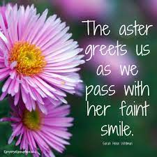 Faint Smile Flower Quotes Blossom Flower Finding Hope