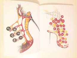 Please include one for the next edition Coffee Table Books Sophie Lowe