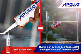 HƯỚNG DẪN SỬ DỤNG KEO APOLLO A300 THI CÔNG DÁN KÍNH HỒ CÁ BETTA CỰC DỄ