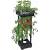 Beefsteak Tomato Plant