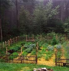 Pflanzen Sie Einen Essbaren Waldgarten Bio Garten Einen Essbaren Garten Pflanzen Waldgarten In 2020 Forest Garden Garden Planning