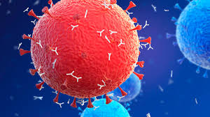 If a person is not infected, no viral rna. Antigen Tests For Covid 19 Are Fast And Easy And Could Solve The Coronavirus Testing Problem Despite Being Somewhat Inaccurate
