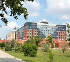 Országos tudományos diákköri konferencia sporttudományi szekciójában. Elte Faculty Of Social Sciences