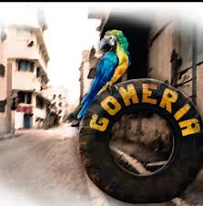 Gomería Loro