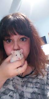 Is burning essential oils harmful for hamsters?