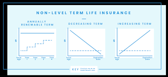 If you're looking for inexpensive life insurance over 60, or any of the decades for that matter, you need policy architects. What Is Term Life Insurance And How Does It Work Termlife2go