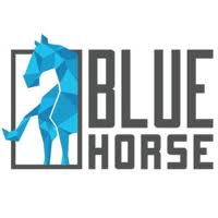 Bluehorse Software Solutions Pvt Ltd.
