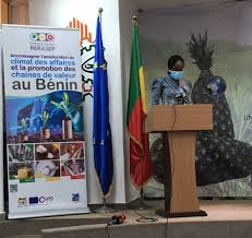 Communique De Presse L Ananas Pain Du Sucre Du Benin Certifie Indication Geographique Protegee Inter Reseaux