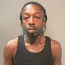 Adult Male Charged with Castle Boulevard Carjacking and Attempted Burglary