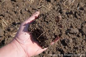 Es gibt auch noch eine finkenwerder buschnu die f r kleinere g rten zu empfehlen ist. Lehmboden Alles Wissenswerte Hier Lesen