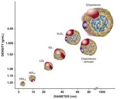 Vldl Triglyceride Rich Lipoproteins And Remnant Cholesterol