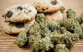 Vorab noch ein paar allgemeine hinweise zu verzehr und wirkung von hanf. Die Rezepte Marihuanna Kekse Zu Machen Justbob