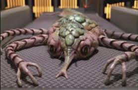 Borg - Wikipedia