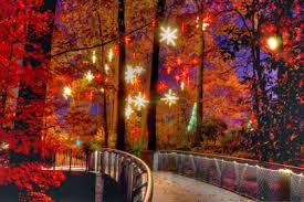 The atlanta botanical garden's ninth annual garden lights, holiday nights, a holiday light show spanning 30 acres, will run from nov. Gorgeous Holiday Lights At Atlanta Botanical Gardens Gac