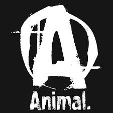 Animal Logo Jpg 500 500 Fisicoculturismo Rutina Pintar
