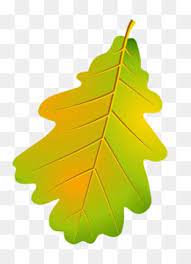 Autumn Leaves Png Autumn Leaves Transparent Clipart Free Download Download Autumn Hand Painted Autumn Leaves Leaf Outline Autumn Leaves Free Clip Art