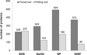 Bar Chart Of Number Of Proteins For The Four Different