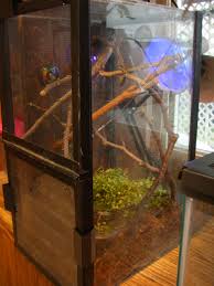 Pin On Welcome To My Zoo