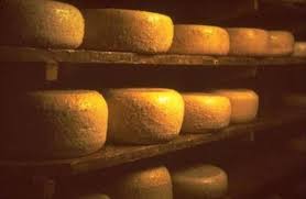 Ardi Gasna Fromage Basque Fromage De Brebis