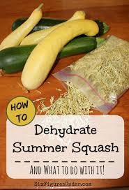Jul 08, 2013 · it's tasty in soups, pasta sauces, and casseroles, but know that it might become mushy in salads or stirfries. How To Dehydrate Zucchini And Yellow Squash Six Figures Under