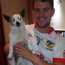 Aidan McAnespie's GFC Boston