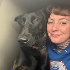 Where to find chicken pullets?