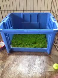 Dogs are drawn to real grass, so your dog might take to potty grass that's made from real sod. 15 Diy Dog Porch Potty Grass Box Projects Playbarkrun