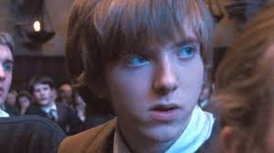 Harry Potter: Hufflepuff House Members Ranked By Likability