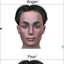 Maybe you would like to learn more about one of these? Pdf Face Gender And Emotion Expression Are Angry Women More Like Men