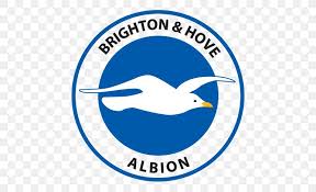 Brighton & hove albion fc. Brighton Hove Albion F C Falmer Stadium Logo West Ham United F C Brand Png 500x500px Brighton
